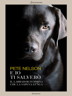 cover image of E io ti salverò